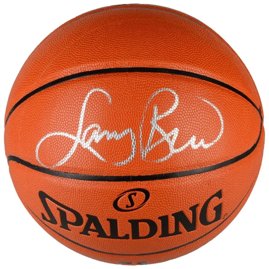 Larry Bird Boston Celtics Autographed Indoor/Outdoor Basketball